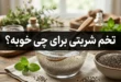 خواص تخم شربتی | تخم شربتی برای چی خوبه 141 خواص تخم شربتی