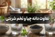 تفاوت دانه چیا و تخم شربتی 142 تفاوت دانه چیا و تخم شربتی