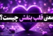 معنی قلب بنفش از طرف دختر و پسر در رابطه، چت و بیو اینستا 💜 189 معنی قلب بنفش